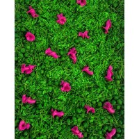 GREEN MEADOW PINK DREAMS, SENSORO ROTAĻU BĀZE - OUWAKIDS GREEN MEADOW PINK DREAMS, SENSORO ROTAĻU BĀZE - OUWAKIDS