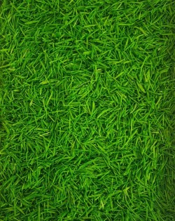 GREEN MEADOW, SENSORO ROTAĻU BĀZE - OUWAKIDS