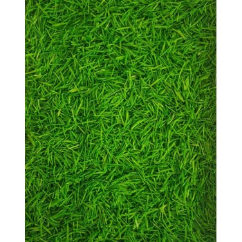 GREEN MEADOW, SENSORO ROTAĻU BĀZE - OUWAKIDS