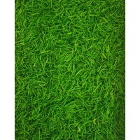 GREEN MEADOW, SENSORO ROTAĻU BĀZE - OUWAKIDS GREEN MEADOW, SENSORO ROTAĻU BĀZE - OUWAKIDS