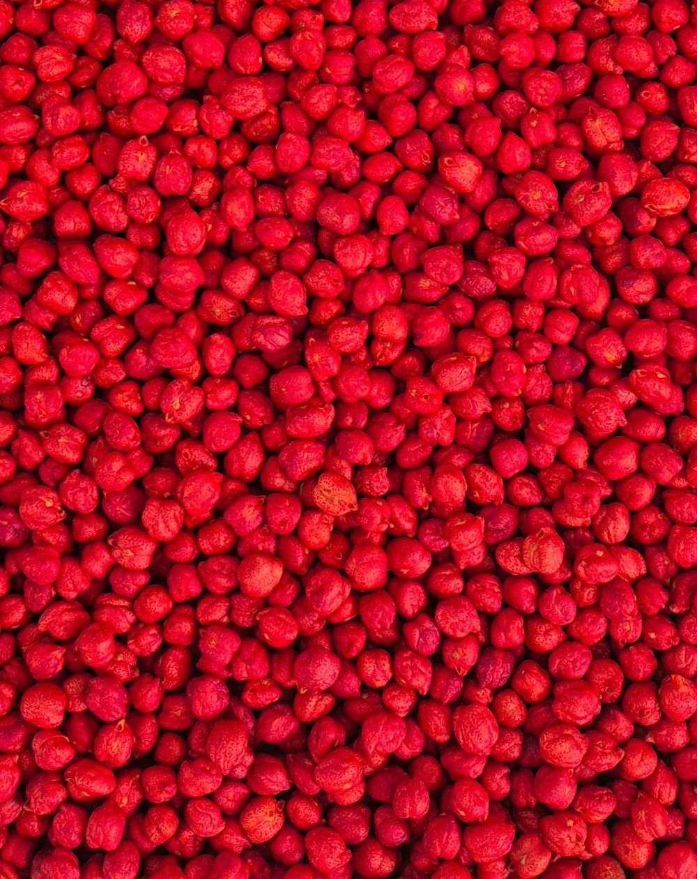 KRĀSOTI ZIRŅI RED, SENSORO ROTAĻU MATERIĀLS, BĀZE - OUWAKIDS