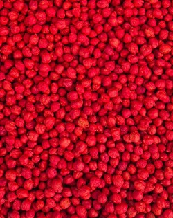 KRĀSOTI ZIRŅI RED, SENSORO ROTAĻU MATERIĀLS, BĀZE - OUWAKIDS