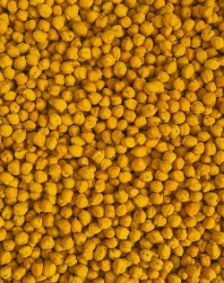 KRĀSOTI ZIRŅI YELLOW, SENSORO ROTAĻU MATERIĀLS, BĀZE - OUWAKIDS
