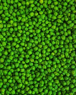 KRĀSOTI ZIRŅI GREEN, SENSORO ROTAĻU MATERIĀLS - OUWAKIDS
