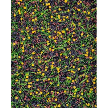 NOSLĒPUMU DĀRZS, SENSORO ROTAĻU MAISĪJUMS, KOMPLEKTS, SENSORĀ BĀZE - OUWAKIDS