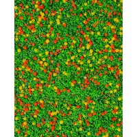 PAVASARA ZIEDU PRIEKS, SENSORO ROTAĻU MAISĪJUMS, SENSORĀ BĀZE - OUWAKIDS