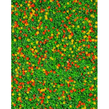 PAVASARA ZIEDU PRIEKS, SENSORO ROTAĻU MAISĪJUMS, SENSORĀ BĀZE - OUWAKIDS