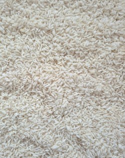 RĪSI WHITE, SENSORO ROTAĻU MATERIĀLS - OUWAKIDS