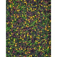 NOSLĒPUMU DĀRZS, SENSORO ROTAĻU MAISĪJUMS, KOMPLEKTS, SENSORĀ BĀZE - OUWAKIDS