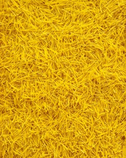 SIENA ZĀRDĀ, SENSORO ROTAĻU BĀZE - OUWAKIDS