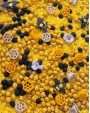 BEE MAGIC, SENSORO ROTAĻU KOMPLEKTS, SENSORĀ BĀZE - OUWAKIDS
