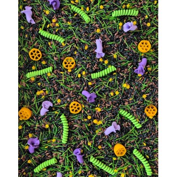 SAJŪTU DĀRZS, SENSORO ROTAĻU MAISĪJUMS, KOMPLEKTS, SENSORĀ BĀZE - OUWAKIDS