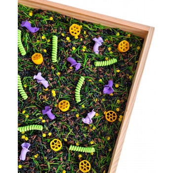 SAJŪTU DĀRZS, SENSORO ROTAĻU MAISĪJUMS, KOMPLEKTS, SENSORĀ BĀZE - OUWAKIDS