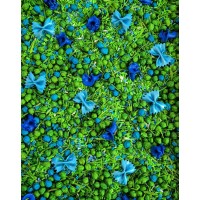 ZILIE SAPŅI, SENSORO ROTAĻU MAISĪJUMS, KOMPLEKTS, SENSORĀ BĀZE - OUWAKIDS ZILIE SAPŅI, SENSORO ROTAĻU MAISĪJUMS, KOMPLEKTS, SENSORĀ BĀZE - OUWAKIDS